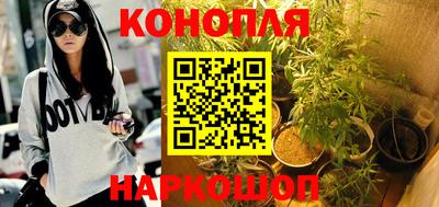 Альфа ПВП Краснознаменск