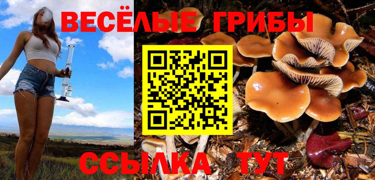 Псилоцибиновые грибы Psilocybine cubensis  Галлюциногенные грибы Psilocybe  Вход с VPN  Ялуторовск 